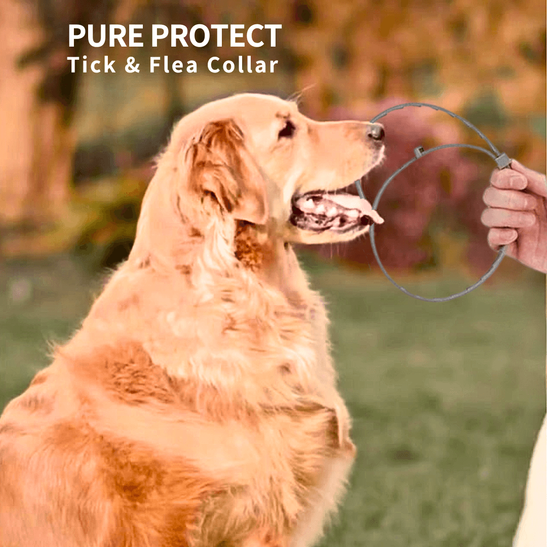 PURE PROTECT - 100% Natural Tick & Flea Protection