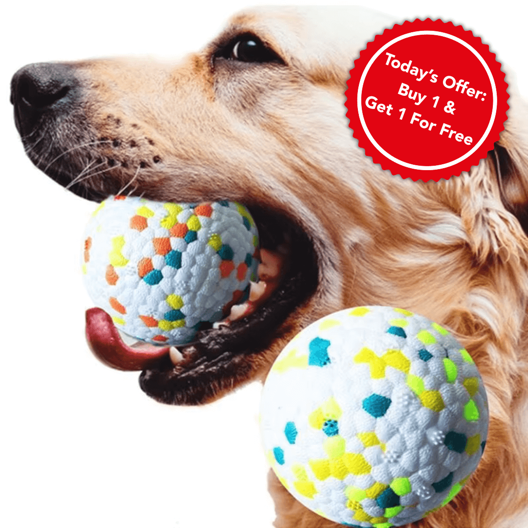 ToughBuddy™ – The Toy That Keeps Up With Your Dog