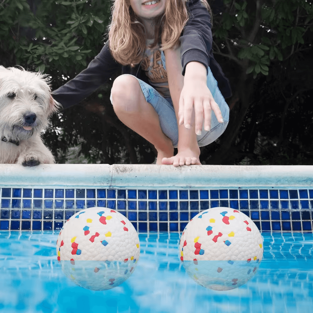 ToughBuddy™ – The Toy That Keeps Up With Your Dog
