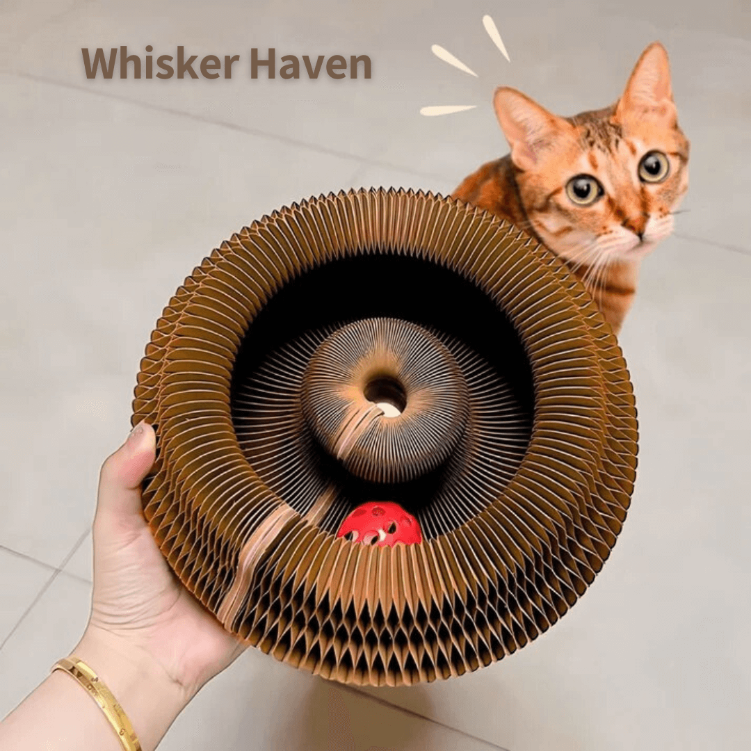 WHISKER HAVEN - Enchanting Scratch Tunnel