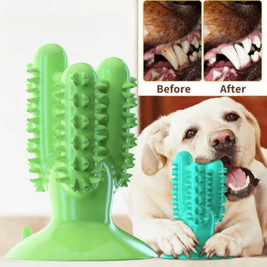 JOLLY CHOMPER - Make Dental Hygiene Fun