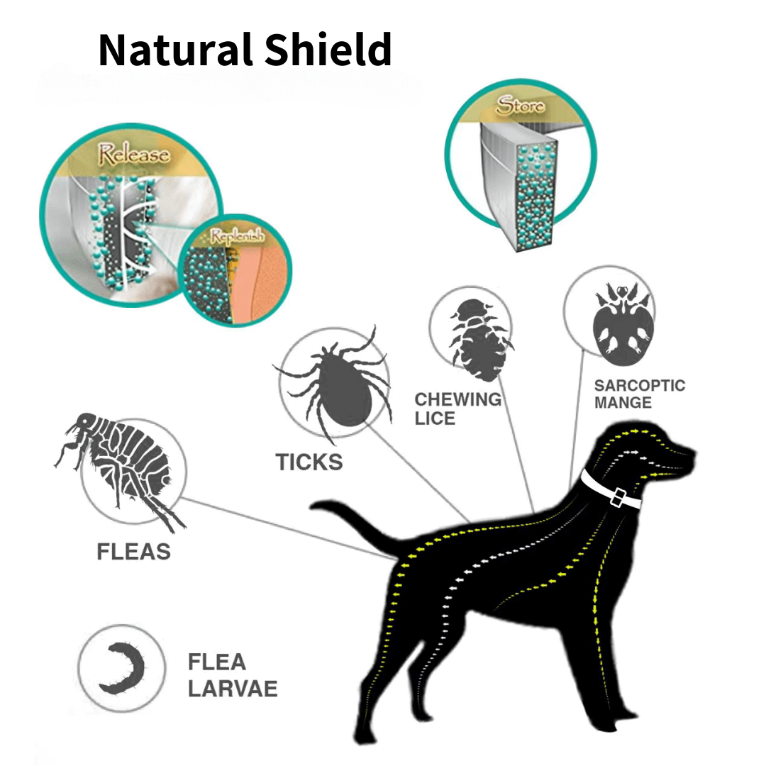 PURE PROTECT - 100% Natural Tick & Flea Protection