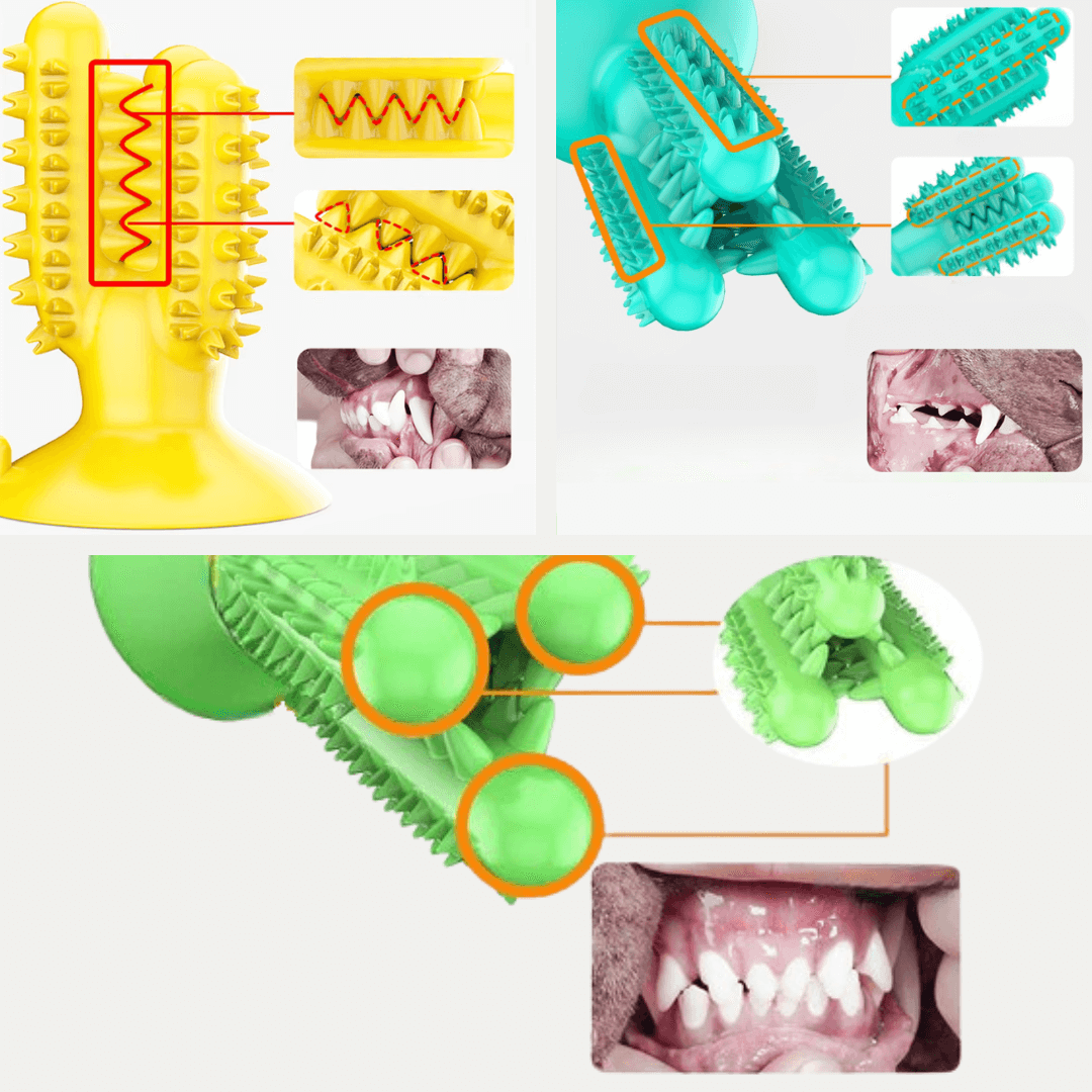 JOLLY CHOMPER - Make Dental Hygiene Fun